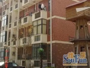 视野宽阔 全天采光 出行方便 小区环境优美