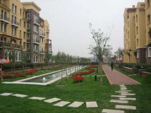 东落凤 总价低 小区停车方便 空户