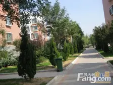 城市花园东区顶加阁,新装一天未住