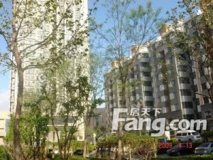 此房生活环境好,地理位置好,欢迎大家来看房。