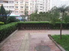 一梯两户精装修大三居室 年代新 采光好 位置方便