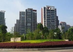 南北通透视野开阔,东边户,保养很好,没怎么住过