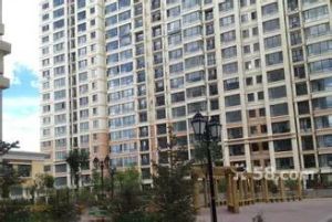 呼哈路片区 电梯房 精装修二室 阿尔泰公园 美食步行街