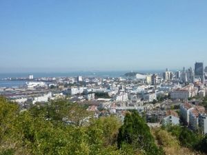 西炮台东路2室1厅南北