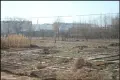 鑫宇·中央公园活动现场