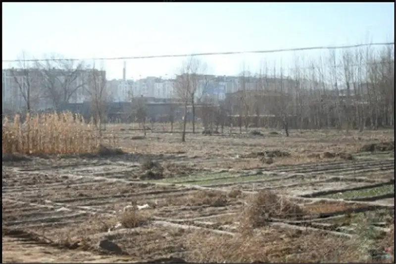 鑫宇·中央公园活动现场