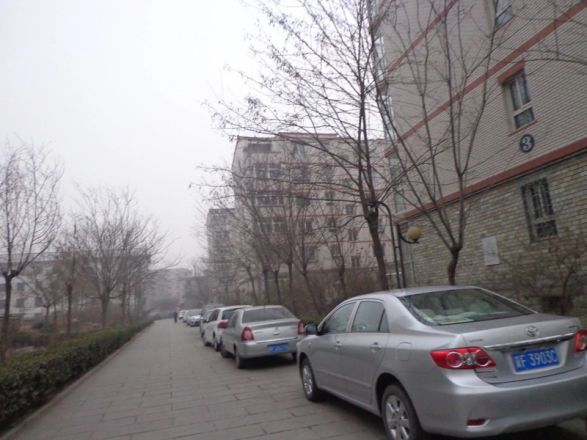芳园小区实景图