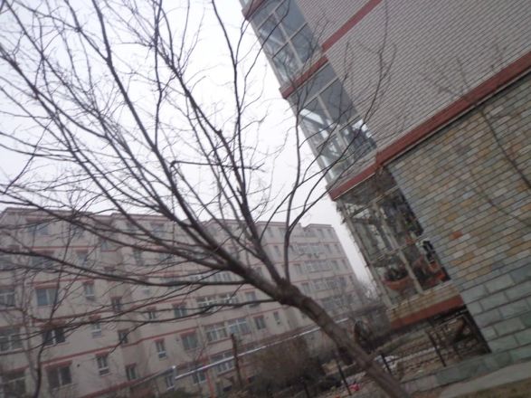 芳园小区实景图