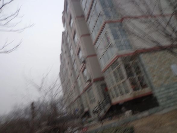 芳园小区实景图
