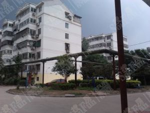吉安小区中区供销公司宿舍2室2厅南
