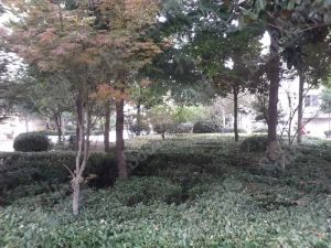 吉安小区3楼2室2厅111.4平配套设施齐全 出行方便