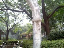 运河小区2室1厅南