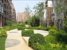 精装修 *楼 5跃6 四室两厅一厨两卫