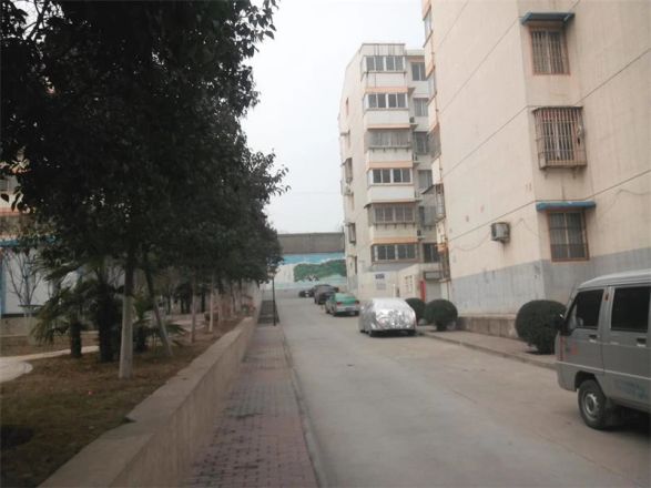 开拓龙腾苑实景图