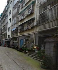 国税局宿舍3室2厅南