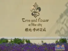 精装修 落地窗 拎包入住 三室两卫 采光好