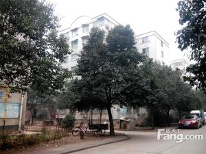 三鑫小区,商品房,2楼,三室,随时看房