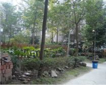 学府美地2室1厅东南西南
