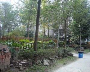 学府美地 2室2厅 东南