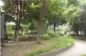 楠逸苑实景图