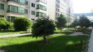 南北通透非顶楼看房方便诚心出售