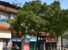 省建苑大厦4室2厅南北西