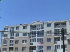 新辉小区 1室1厅 南