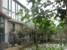 龙王塘海珠花园双拼别墅,不上坡,小区环境好