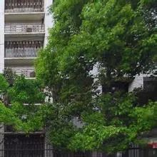 楼层好,带杂物间,卧室朝南,免费停车,生活方便