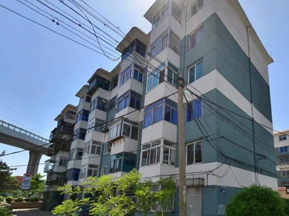 大连市金州区先进街道桃园小区14号1单元1层3号房屋