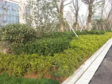 东城院子 4室2厅 东