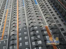 新青年汇 1室0厅 南