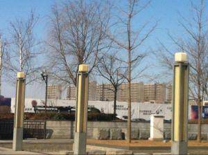 S6号线旁 大平米复式 两层空間 随时看房有鈅匙