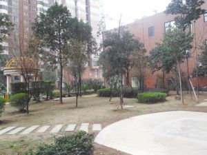 马王堆地铁口山水华景精致小两房急售
