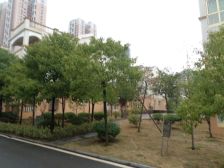 地铁口月亮岛采光好户型周正得房率高房产证在手