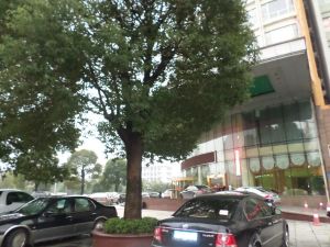时代帝景3室2厅东南