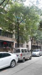 教师新村3室2厅南北