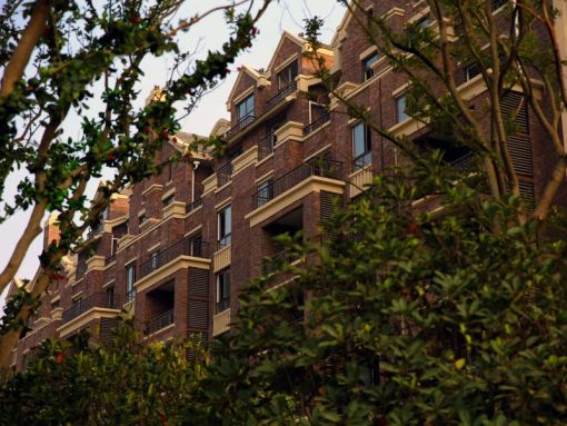  �����ԣ԰ 3�� 2�� 113ƽ�� 