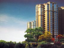 计划2024年06月在鹤壁淇滨区买三居新房?这篇购房攻略一定要看起来!