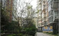 毛家桥水果市场1室1厅南