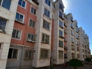 业主急售低楼层采光视野没有遮挡保持好