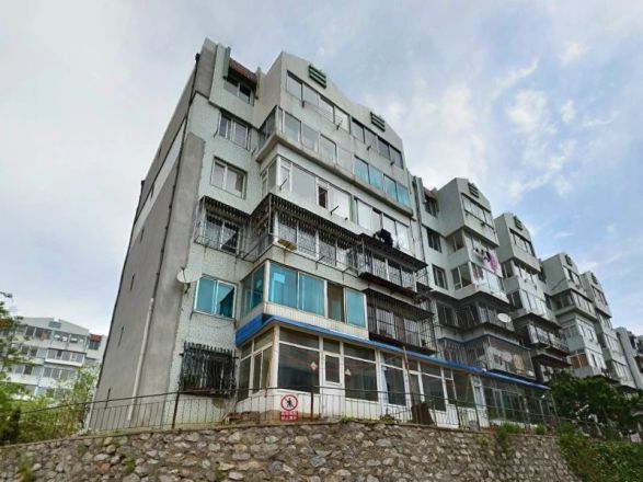 岗林里实景图