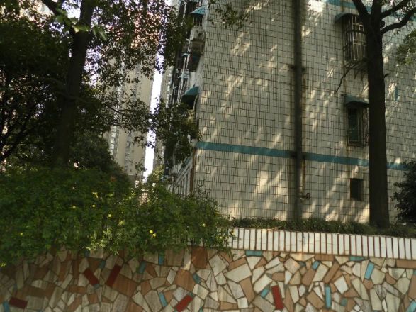 爱民路86号实景图