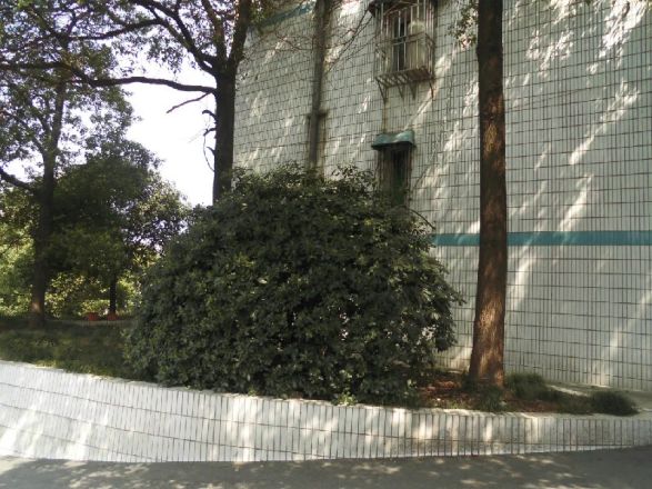 爱民路86号实景图