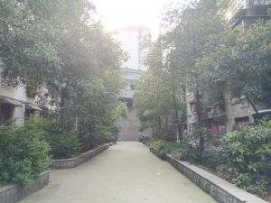 木材厂宿舍2室1厅南北