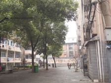 文艺新村3室1厅南