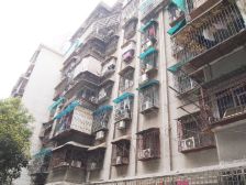 向韶村3室2厅南
