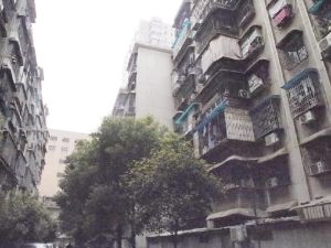 向韶村2室1厅东南