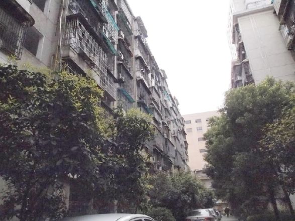 向韶村实景图