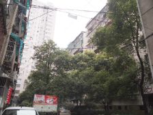向韶村2室2厅西南